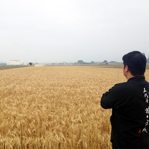〈花山うどん〉 花山御膳10把つゆ付き詰合せ