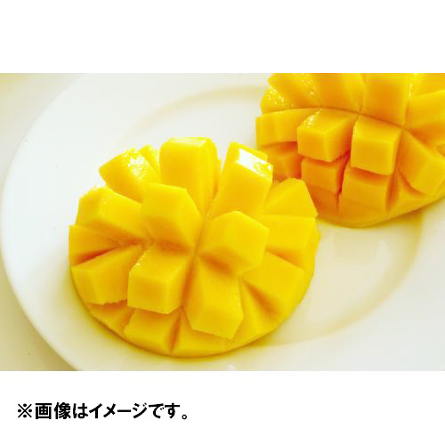 【送料込】＜沖縄県産＞訳あり家庭用マンゴー1kg【受注締め切り日：2026/8/25】