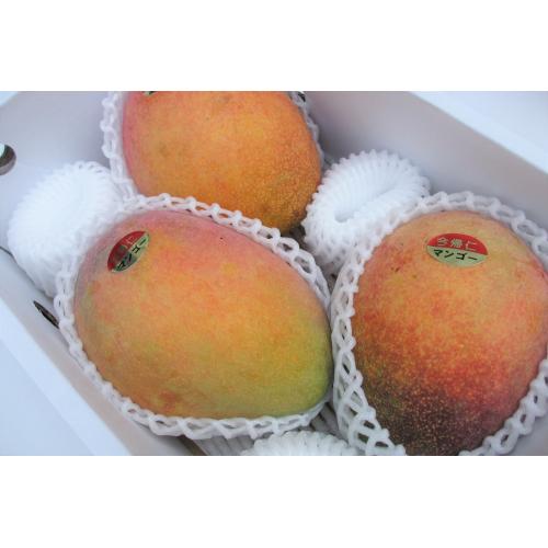 【送料込】＜沖縄県産＞訳あり家庭用マンゴー1kg【受注締め切り日：2026/8/25】