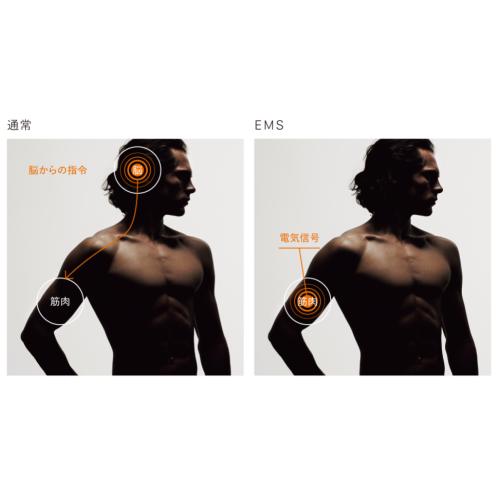 ＜SIXPAD＞レッグベルト