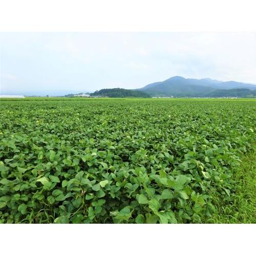 ＜大山＞特別純米酒 夏の十水と特別純米にごり酒 夏の雪