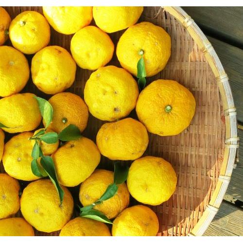 ＜雑賀＞ノンアルコール　梅・柚　720ml　詰合せ