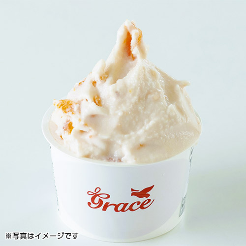 〈ジェラート工房グレイス〉ジェラートセット　8個