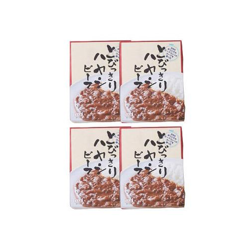 ＜ANAオリジナル＞とびっきりカレーハヤシセット