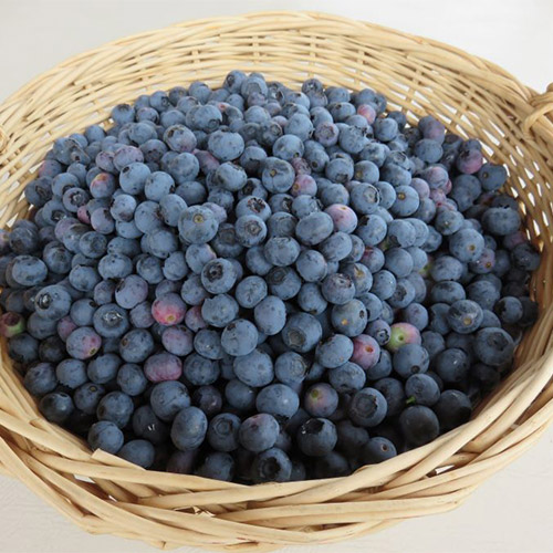 <ベリージュファーム>ブルーベリージャムセット　2種