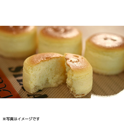 ＜新潟スイーツ・ナカシマ＞大糸チーズ9個入