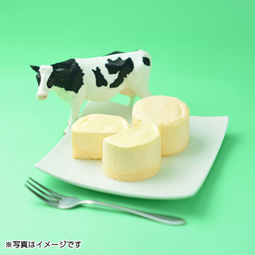 <新潟スイーツ・ナカシマ>新潟ふわとろチーズ9個入