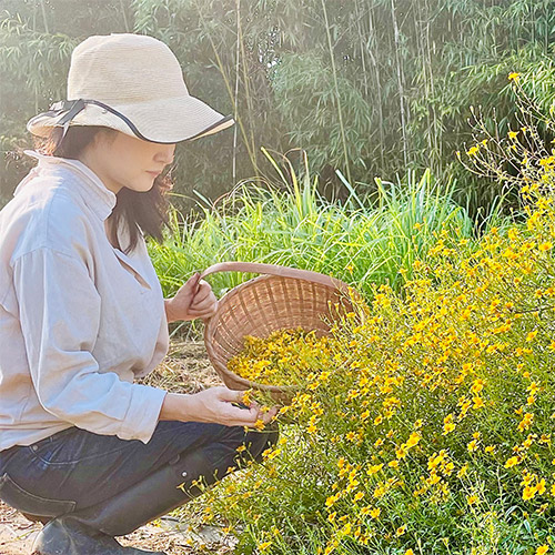 香月茶 5種類ギフトセット