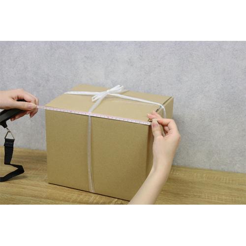 ＜dretec＞サイズもはかれるラゲッジスケール