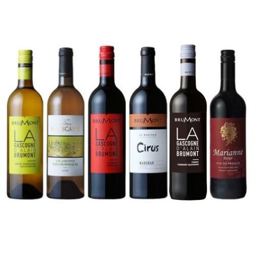 【送料当社負担】＜ドメーヌ・アラン・ブリュモン＞フランス南西地方の巨匠ワイナリー入門赤白6本セット