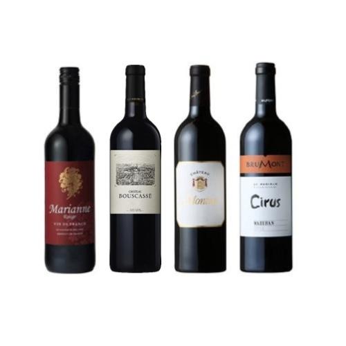 【送料当社負担】＜ドメーヌ・アラン・ブリュモン＞固有品種「タナ」集めた濃厚赤ワイン4本セット