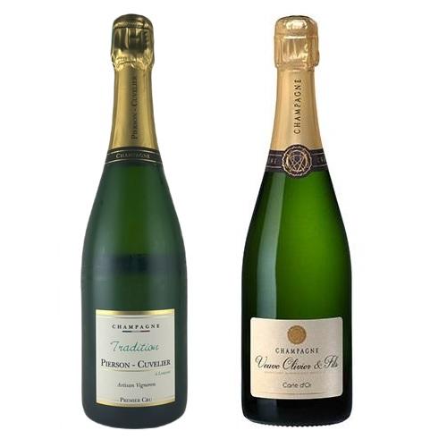 【送料当社負担】高品質シャンパーニュ2本セット