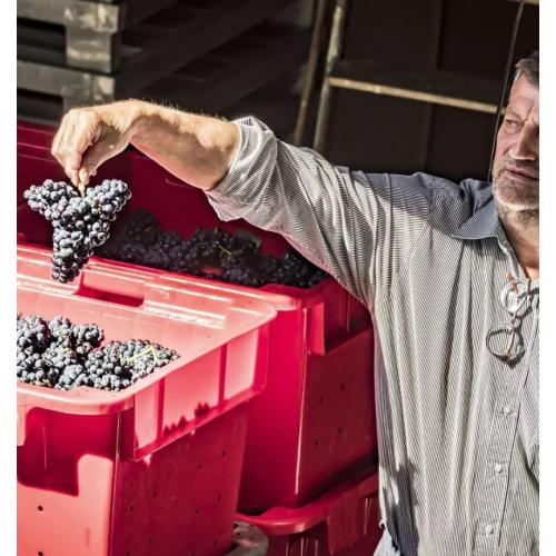 【送料当社負担】高品質シャンパーニュ2本セット