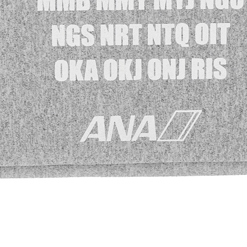 ＜ANAオリジナル＞PCケース