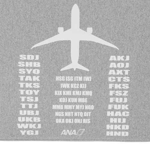＜ANAオリジナル＞PCケース