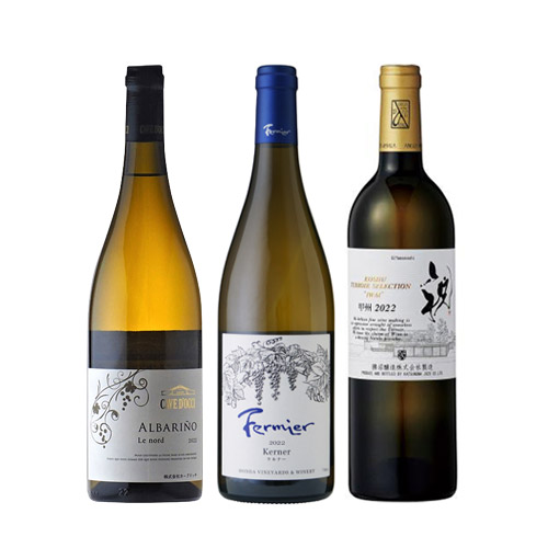 【送料当社負担】＜Aーstyleソムリエ厳選＞日本ワインを知る白ワイン３本セット