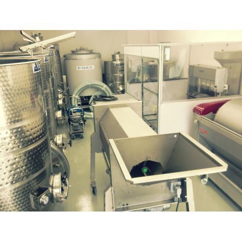 ＜キスヴィン＞ブラン【2024】白ワイン