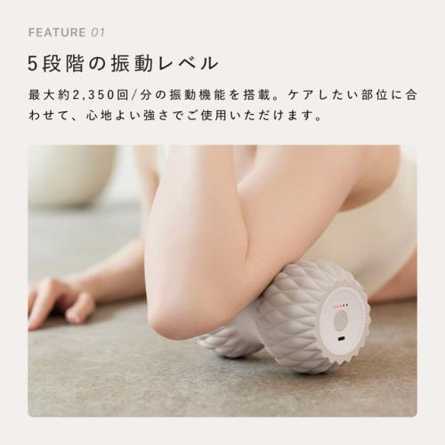 ＜SIXPAD＞Power Roller Twins