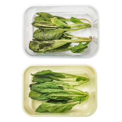 ＜ベストコ＞ロック&ロック　キープフレッシュ　760ｍＬ