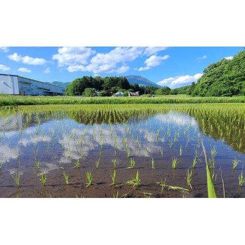 ＜菊の司酒造＞純米大吟醸　てづくり七福神