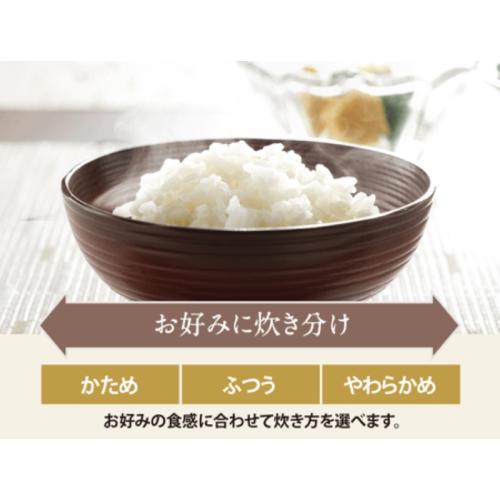 ＜象印＞IH炊飯ジャー「極め炊き」NW-VJ10(5.5合炊き)