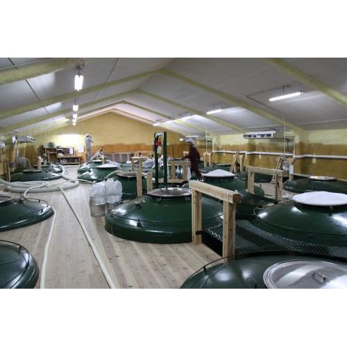 ＜司牡丹酒造＞司牡丹Delight