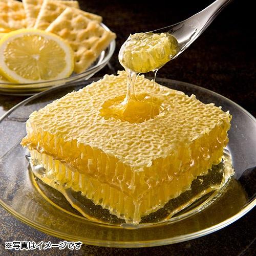 ”ハチの巣ごと食べられる”巣蜜極み