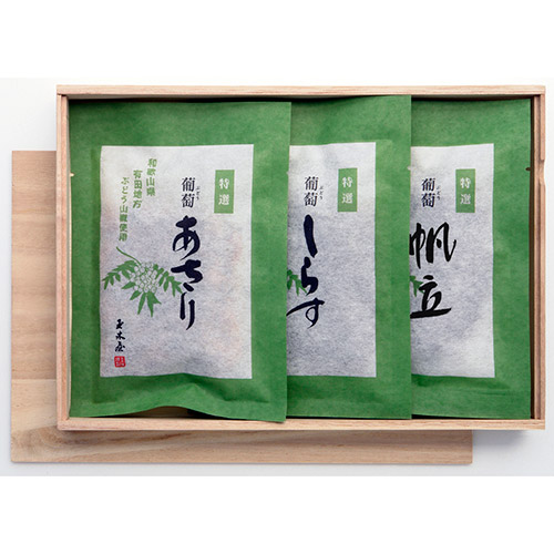 ＜玉木屋＞葡萄佃煮 3袋入り