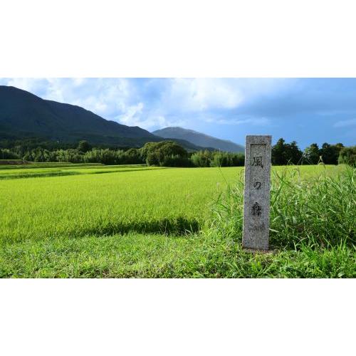 ＜油長酒造＞風の森ALPHA2 この上なき華 笊籬採り