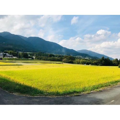 ＜油長酒造＞風の森ALPHA2 この上なき華 笊籬採り