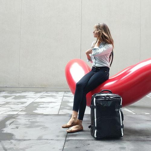 ＜HIDEO WAKAMATSU＞ドルフィン ターポリン 2輪ソフトキャリー