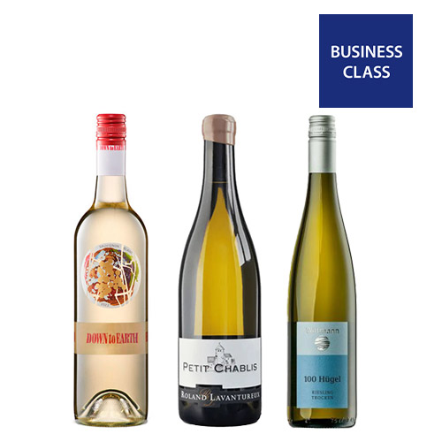 【送料当社負担】2024年度機内ワイン ビジネスクラス採用白ワイン3本セット