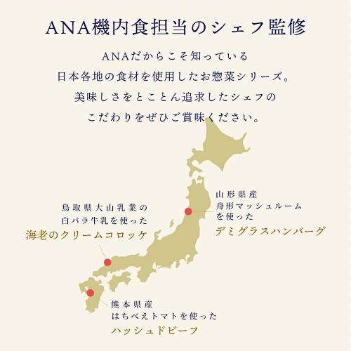 ＜ANA FINDELISH＞日本各地の食材をつかったお惣菜シリーズ3種アソートセット（デミグラスハンバーグ・