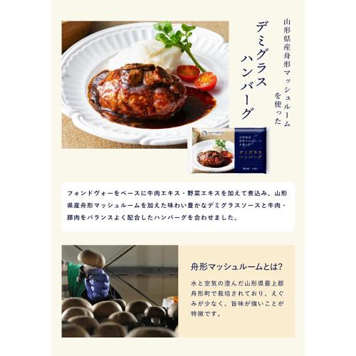 ＜ANA FINDELISH＞日本各地の食材をつかったお惣菜シリーズ3種アソートセット（デミグラスハンバーグ・