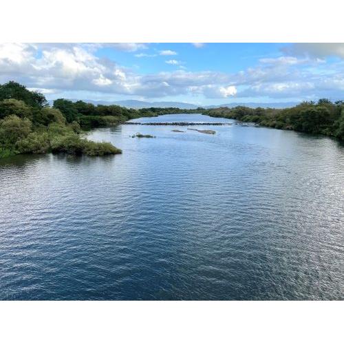 ＜加藤嘉八郎酒造＞大山 特別純米しぼりたてと特別純米酒 十水の2本セット