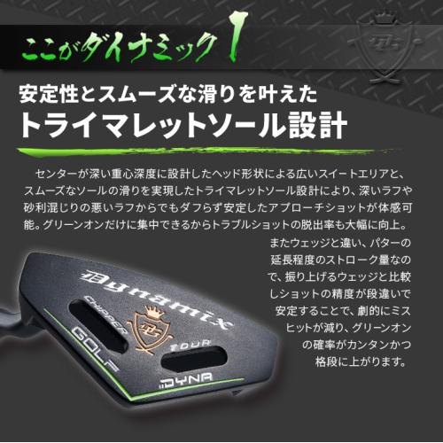 ＜ダイナゴルフ＞ダイナミクスチッパー　レフティ