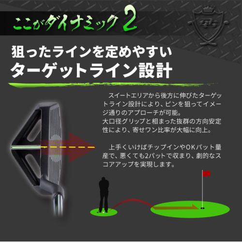 ＜ダイナゴルフ＞ダイナミクスチッパー　レフティ