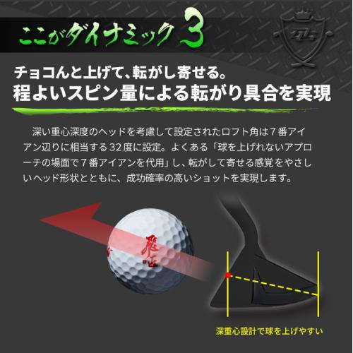 ＜ダイナゴルフ＞ダイナミクスチッパー　レフティ