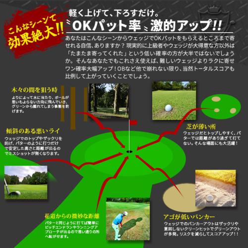 ＜ダイナゴルフ＞ダイナミクスチッパー　レフティ