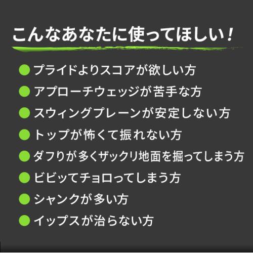 ＜ダイナゴルフ＞ダイナミクスチッパー　レフティ
