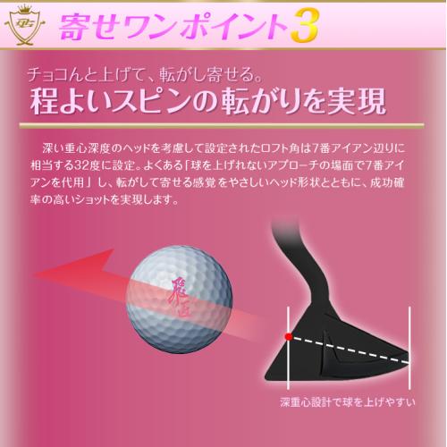 ＜ダイナゴルフ＞ダイナミクスチッパー　レディ　レフティ