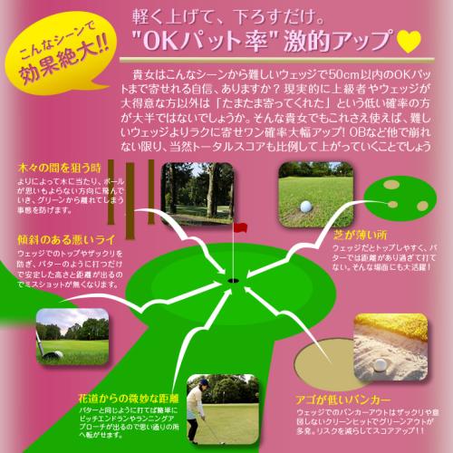 ＜ダイナゴルフ＞ダイナミクスチッパー　レディ　レフティ