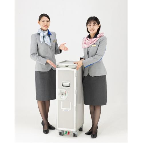 ＜ANAオリジナル＞機内搭載カート CM1121-101NH1 (未使用品)オリジナルステッカー付き