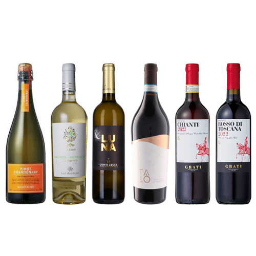 【送料当社負担】本間チョースケの「世界の飲むべきワイン」イタリア編6本セット