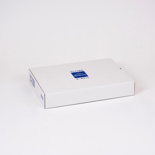 ＜ボーネルンド＞オリジナル積み木 カラー（積み木のほん付）