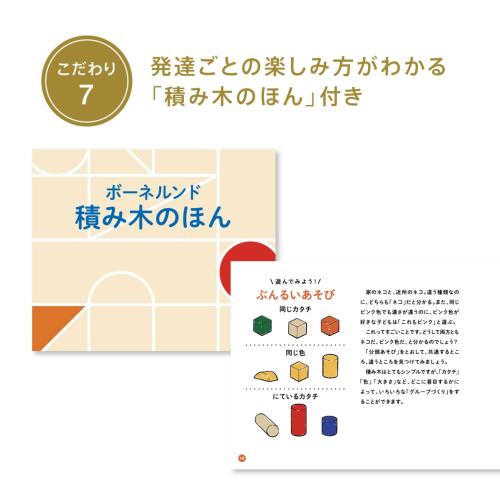 ＜ボーネルンド＞オリジナル積み木 カラー（積み木のほん付）