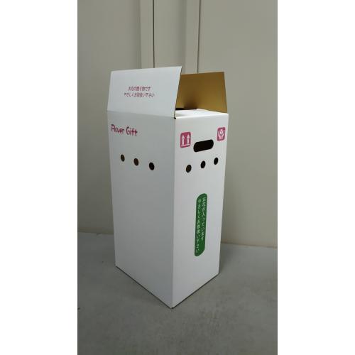 【母の日】＜Fleurs et bonbons（フルーエトボンボン）＞カーネーション（ピンク）と赤い帽子エレガントセット【受注締め切り日：2026/4/30】