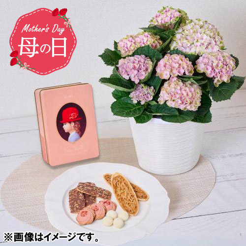 母の日に感謝を込めてギフトを