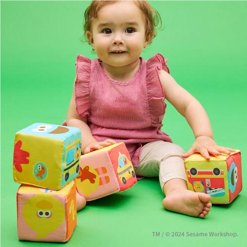 ＜K's Kids＞ふかふか布ブロック／セサミストリート