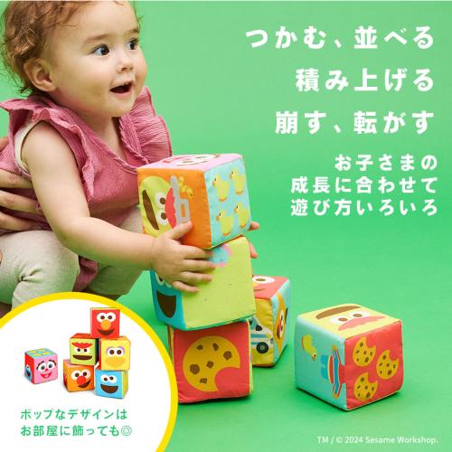 ＜K's Kids＞ふかふか布ブロック／セサミストリート